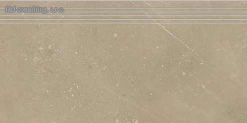 Rako FLY DCP84886 40 x 80 cm Rako FLY DCP84886 40 x 80 cm
