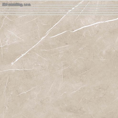 Rako TOUCH DCP62905 60 x 60 cm Rako TOUCH DCP62905 60 x 60 cm