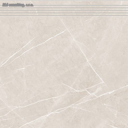 Rako TOUCH DCP62904 60 x 60 cm Rako TOUCH DCP62904 60 x 60 cm