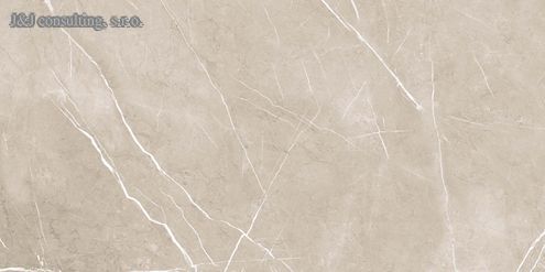 Rako TOUCH DAKV9905 60 x 120 cm Rako TOUCH DAKV9905 60 x 120 cm