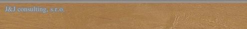 Rako PLANK DSAS3895 60 x 7,2 cm Rako PLANK DSAS3895 60 x 7,2 cm