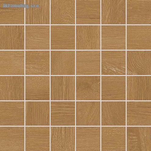 Rako PLANK DDM05895 30 x 30 cm Rako PLANK DDM05895 30 x 30 cm