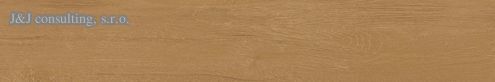 Rako PLANK DARVE895 20 x 120 cm Rako PLANK DARVE895 20 x 120 cm