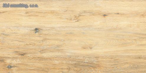 Rako PINO OUTDOOR DAKV6896 60 x 120 x 2 cm Rako PINO OUTDOOR DAKV6896 60 x 120 x 2 cm